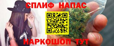 спайс Кимры