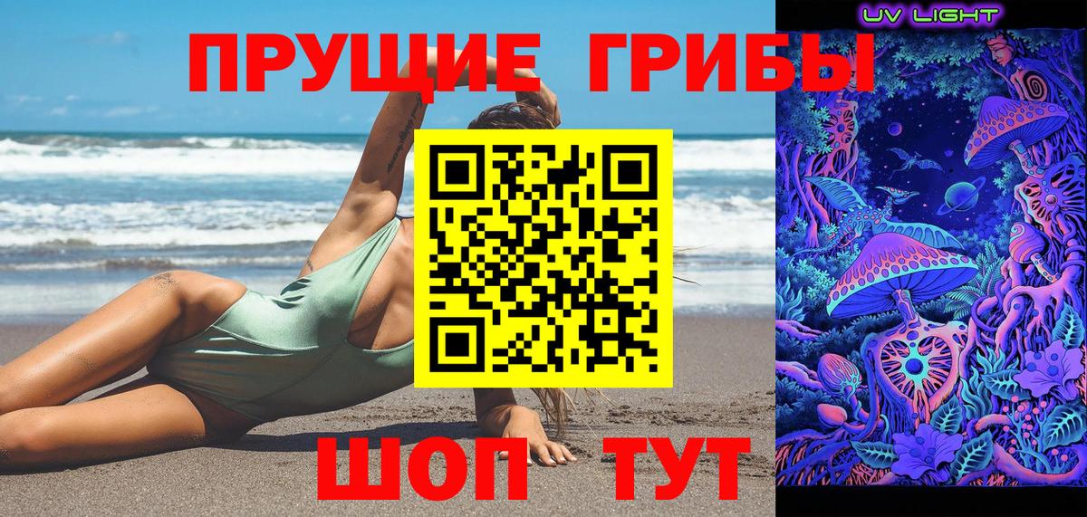 Псилоцибиновые грибы прущие грибы  Псилоцибиновые грибы Cubensis  купить   Вход с VPN  Красноярск 